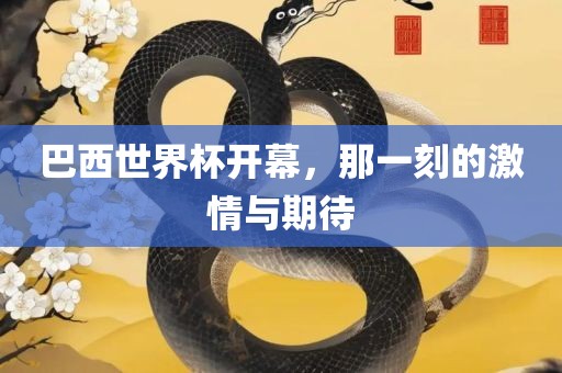 巴西世界杯开幕，那一刻的激情与期待