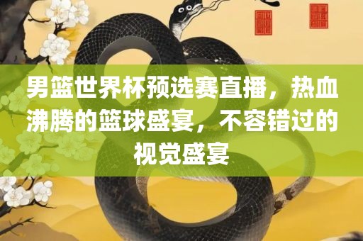 男篮世界杯预选赛直播，热血沸腾的篮球盛宴，不容错过的视觉盛宴