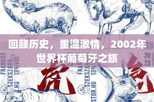 回顾历史，重温激情，2002年世界杯葡萄牙之旅