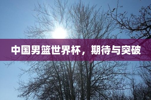 中国男篮世界杯，期待与突破