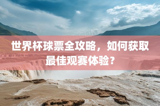 世界杯球票全攻略，如何获取最佳观赛体验？