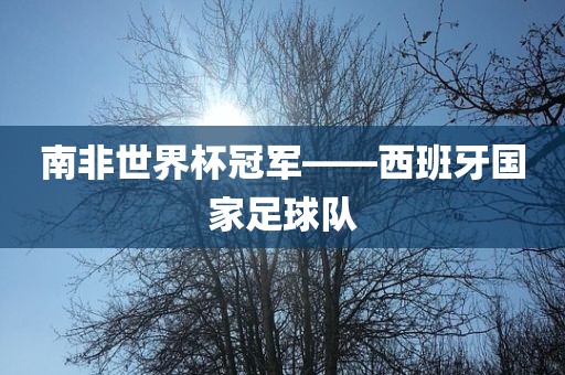 南非世界杯冠军——西班牙国家足球队吉安市靖泰电力工程有限公司