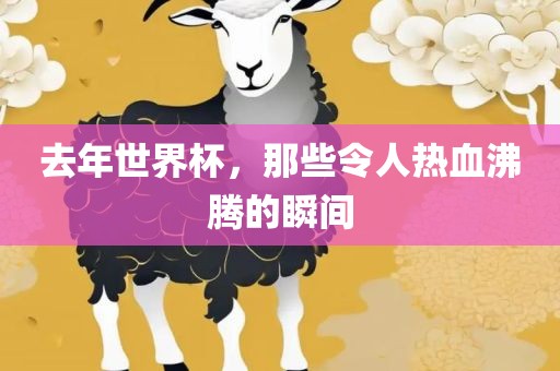 去年世吉安市靖泰电力工程有限公司界杯，那些令人热血沸腾的瞬间
