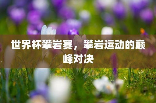 世界杯攀岩赛，攀岩运动的巅峰对决