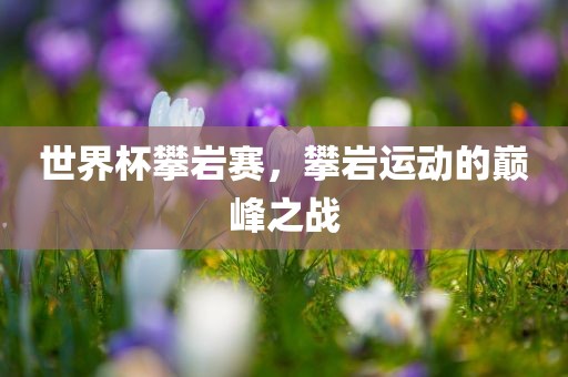 liwenzhen 第3页