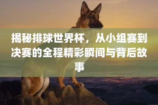 揭秘排球世界杯，从小组赛到决赛的全程精彩瞬间与背后故事