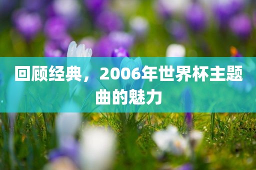 回顾经典，2006吉安市靖泰电力工程有限公司年世界杯主题曲的魅力