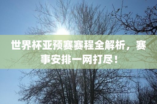 世界杯亚预赛赛程全解析，赛事安排一网打尽！吉安市靖泰电力工程有限公司
