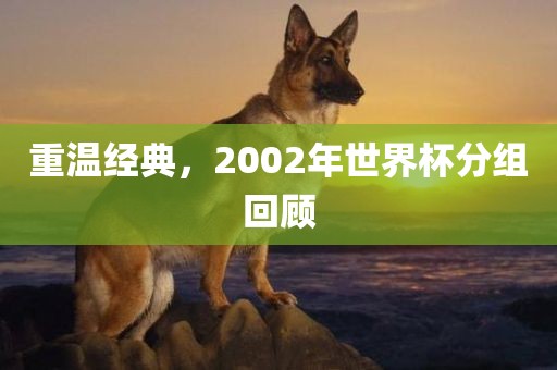 重温经典，2002年世界杯分组回顾