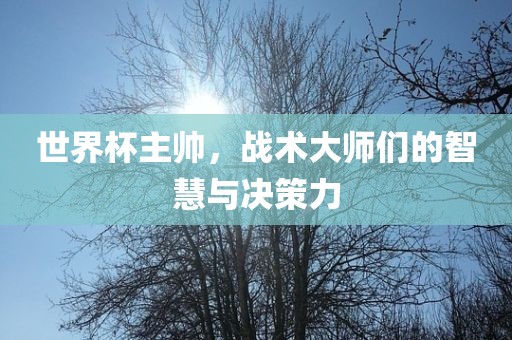 世界杯主帅，战术大师们的智慧与决策力吉安市靖泰电力工程有限公司