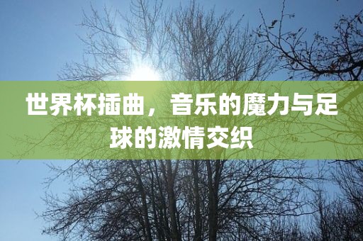 世界杯插曲，音乐的魔力与足球的激情交织
