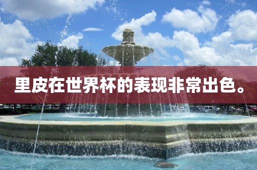 里皮在世界杯的表现非常出色。吉安市靖泰电力工程有限公司