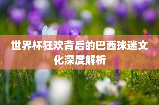 世界杯狂欢背后的巴西球迷文化深度解析吉安市靖泰电力工程有限公司
