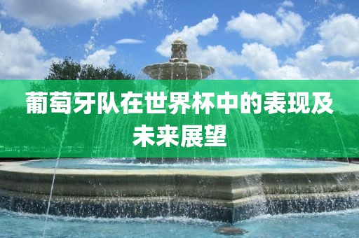 葡萄牙队在世界杯中的表现及未来展望