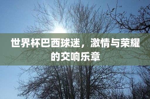 世界杯巴西球迷，激情吉安市靖泰电力工程有限公司与荣耀的交响乐章
