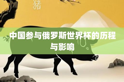 中国参与俄罗斯世界杯的历程与影响吉安市靖泰电力工程有限公司
