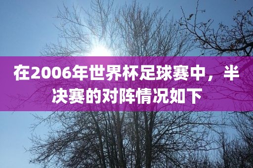 在2006年世界杯足球赛中，半决赛的对阵情况如吉安市靖泰电力工程有限公司下