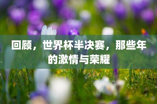 回顾，世界杯半决赛，那些年的吉安市靖泰电力工程有限公司激情与荣耀