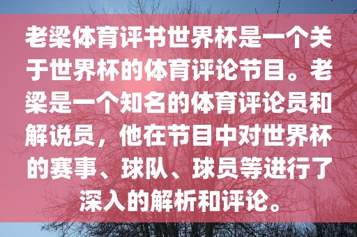 老梁体育评书世界杯是一个关于世界杯的体育评论节目。老梁是一个知名的体育评论员和解说员，他在节目中对世界杯的赛事、球队、球员等进行了深入的解析和评论。