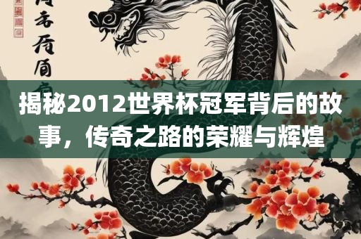 揭秘2012世界杯冠军背后的故事，传奇之路的荣耀与辉煌吉安市靖泰电力工程有限公司
