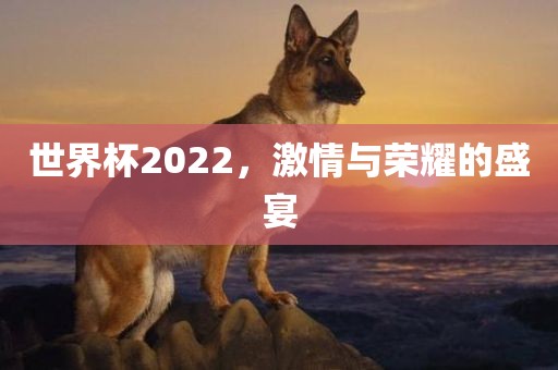 世界杯2022，激情与荣耀的盛宴