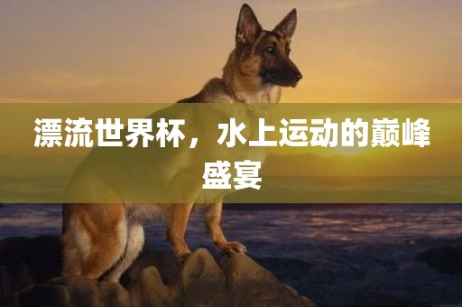 漂流世界杯，水上运动的巅峰盛宴吉安市靖泰电力工程有限公司