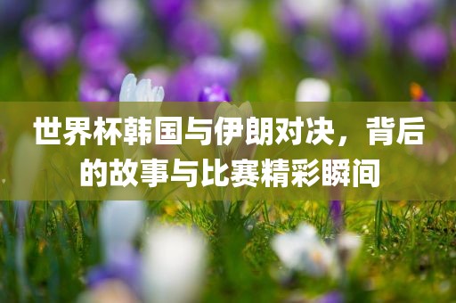世界吉安市靖泰电力工程有限公司杯韩国与伊朗对决，背后的故事与比赛精彩瞬间