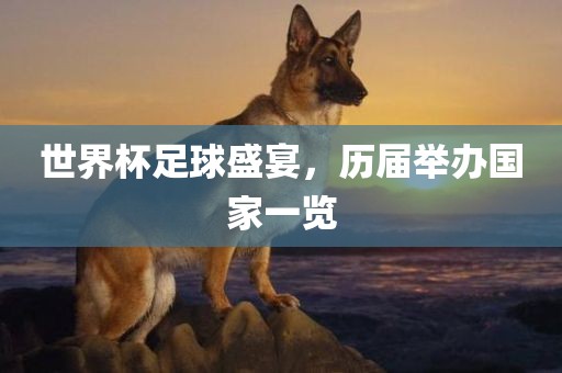 世界杯足球盛宴，历届举办国家一览