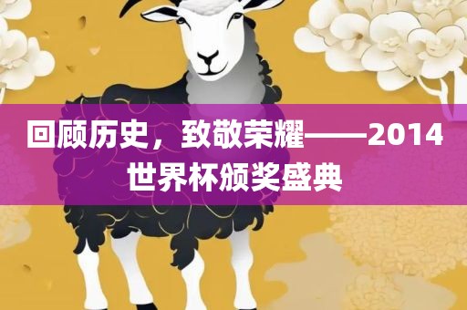 回顾历史，致敬荣耀——2014世界杯颁奖盛典