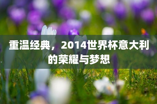重温经典，2014世界杯意大利的荣耀与梦想