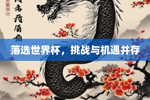 落选世界杯，挑战与机遇并存