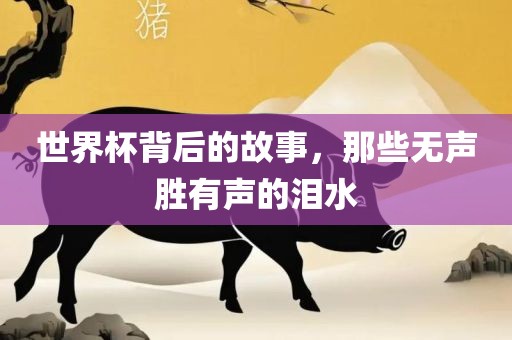 世界杯背后的故事，那些无声胜有声的泪水