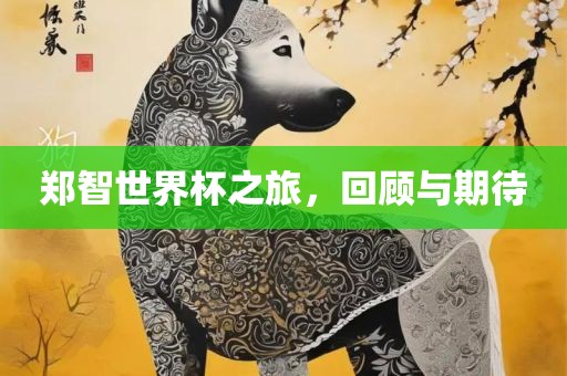 郑智世界杯之旅，回顾与期待