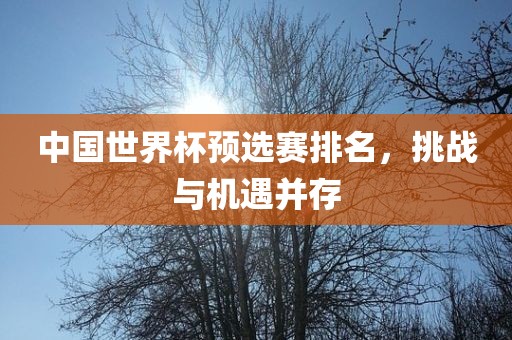中国世界杯预选赛排名，挑战与机遇并存