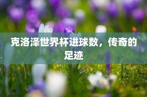 克洛泽世界杯进球数，传奇的足迹