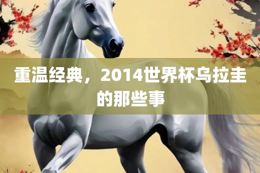 重温经典，2014世界杯乌拉圭的那些事吉安市靖泰电力工程有限公司