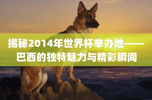 揭秘2014年世界杯举办地——巴西的独特魅力与精彩瞬间