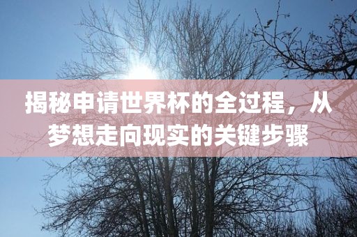 揭秘申请世界杯的全过程，从梦想走向现实的关键步骤吉安市靖泰电力工程有限公司