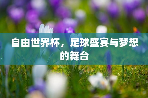 自由世界杯，足球盛宴与梦想的舞台吉安市靖泰电力工程有限公司