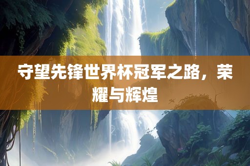 守望先锋世界杯冠军之路，荣耀与辉煌