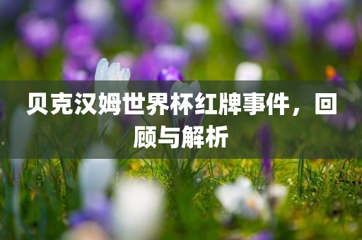 贝克汉姆世界杯红牌事件，回顾与解析