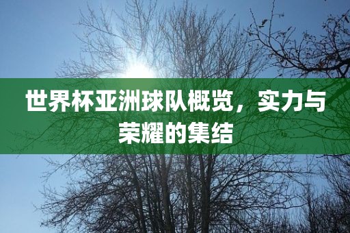世界杯亚洲球队概览，实力与荣耀的集结