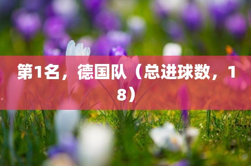 第1名，德国队（总进球数，18）
