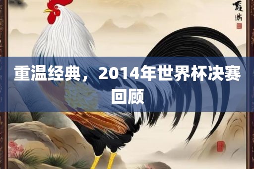 重温经典，2014年世界杯决赛回顾吉安市靖泰电力工程有限公司