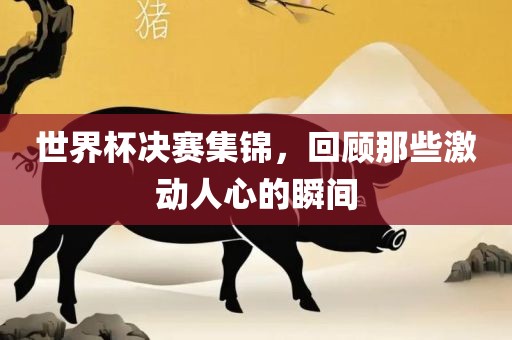 世界杯决赛集锦，回顾那些激动人心的瞬间