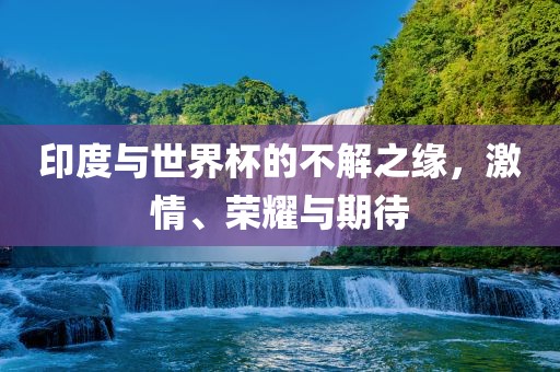 激情与荣耀 第2页
