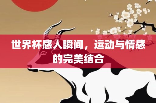 世界杯感人瞬间，运动与情感的完美结合吉安市靖泰电力工程有限公司