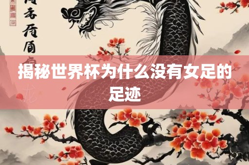 揭吉安市靖泰电力工程有限公司秘世界杯为什么没有女足的足迹
