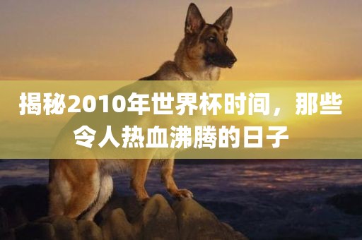 揭秘2010年世界杯时间，那些令人热血沸腾的日子吉安市靖泰电力工程有限公司