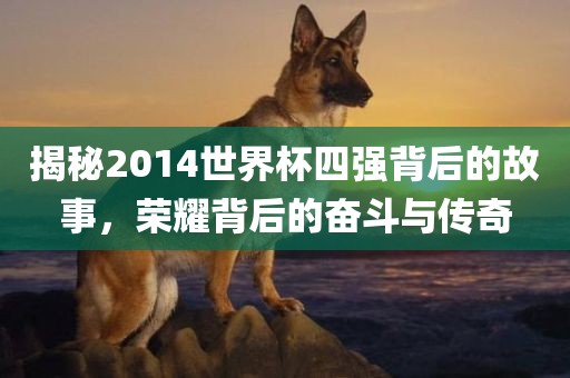揭秘2014世界杯四强背后的故事，荣耀背后的奋斗与传奇吉安市靖泰电力工程有限公司